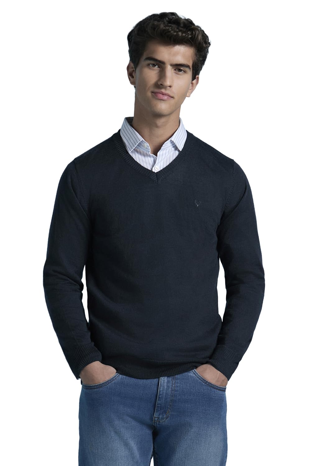 allen solly Men Sweater-picture-26