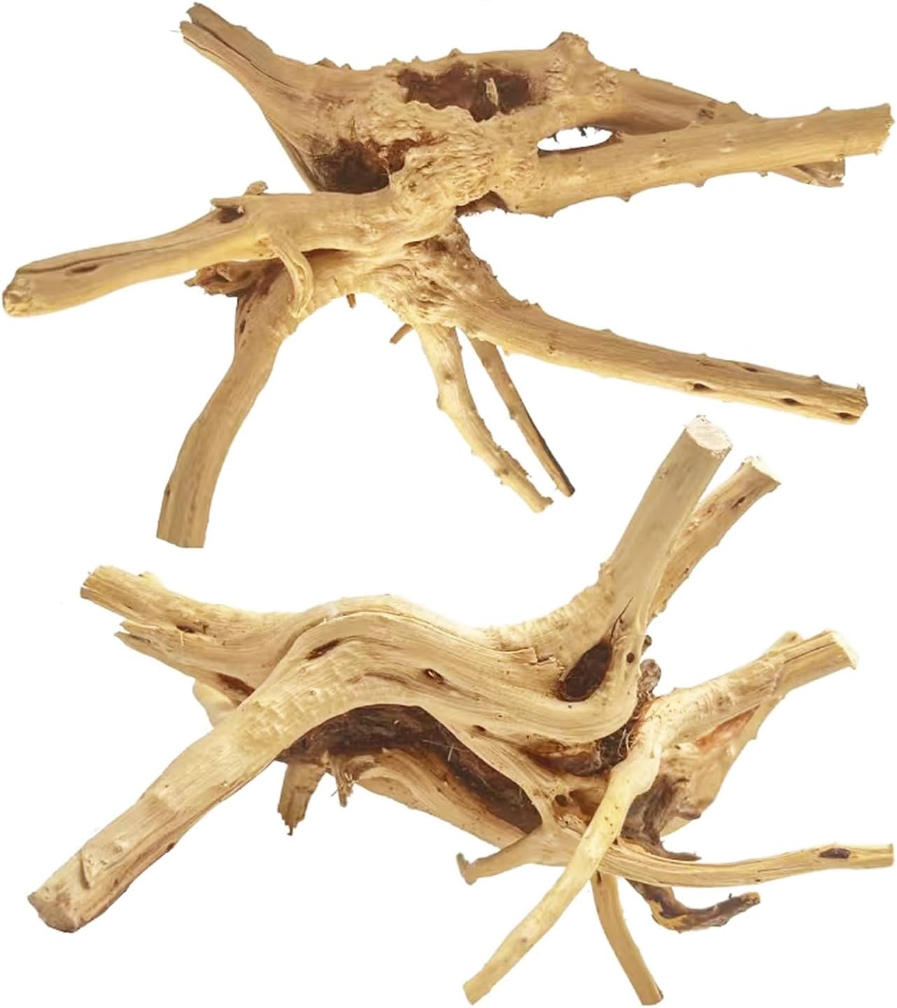 - Jorewood Natural Large Spiderwood Driftwood for Aquarium Decor Rptile Fish Tank Decoration Assort Branch 11-14'' 2 Pcs