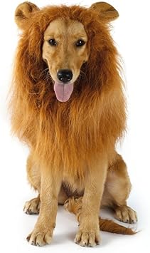 Amazon Cimiva ハロウィン ライオン たてがみ 犬用コスチューム 犬用 ライオンコスプレネックウォーマー ブラウン 耳付き Dearing ペット用品 通販 Amazon Cimiva ハロウィン ライオン たてがみ 犬用コスチューム 犬用 ライオンコスプレネックウォーマー ブラウン 耳付き Dearing ペット用品 通販