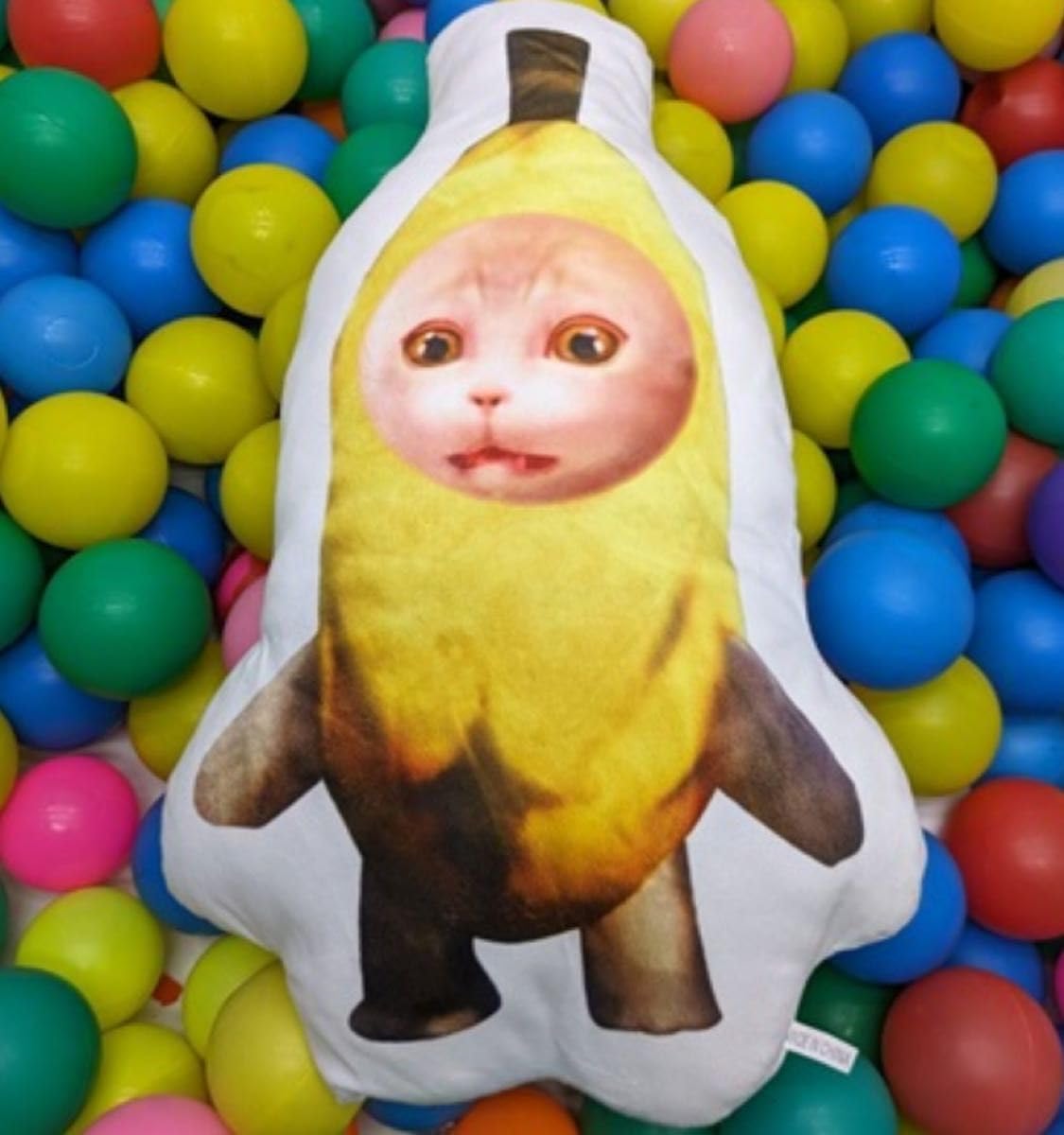 バナナ猫 Amazon.co.jp: バナナ猫 BIGクッション 猫 バナナ 猫ミーム