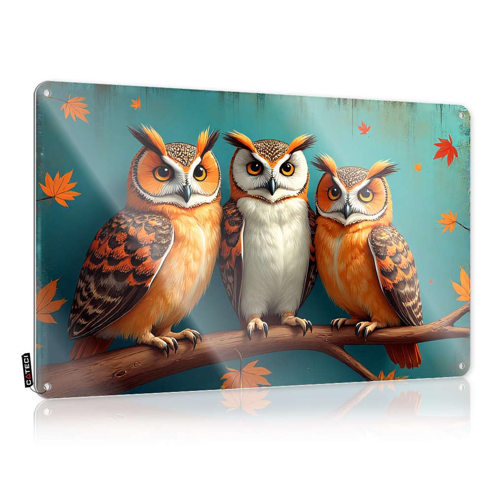 Fzfn Colour Poster Stuff Vintage Wall Decor | Three Colorful Owls Perched On A Branch Classy Ideas For Club Home Decoration(30X40cm)