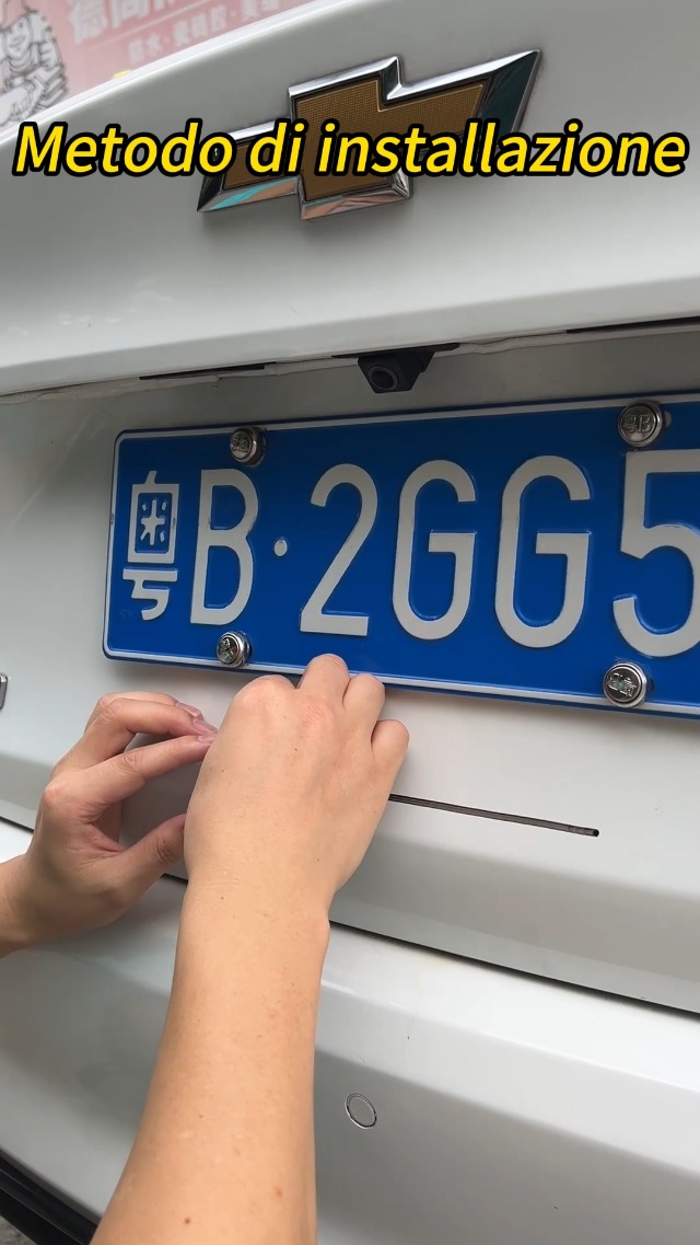 966313_2