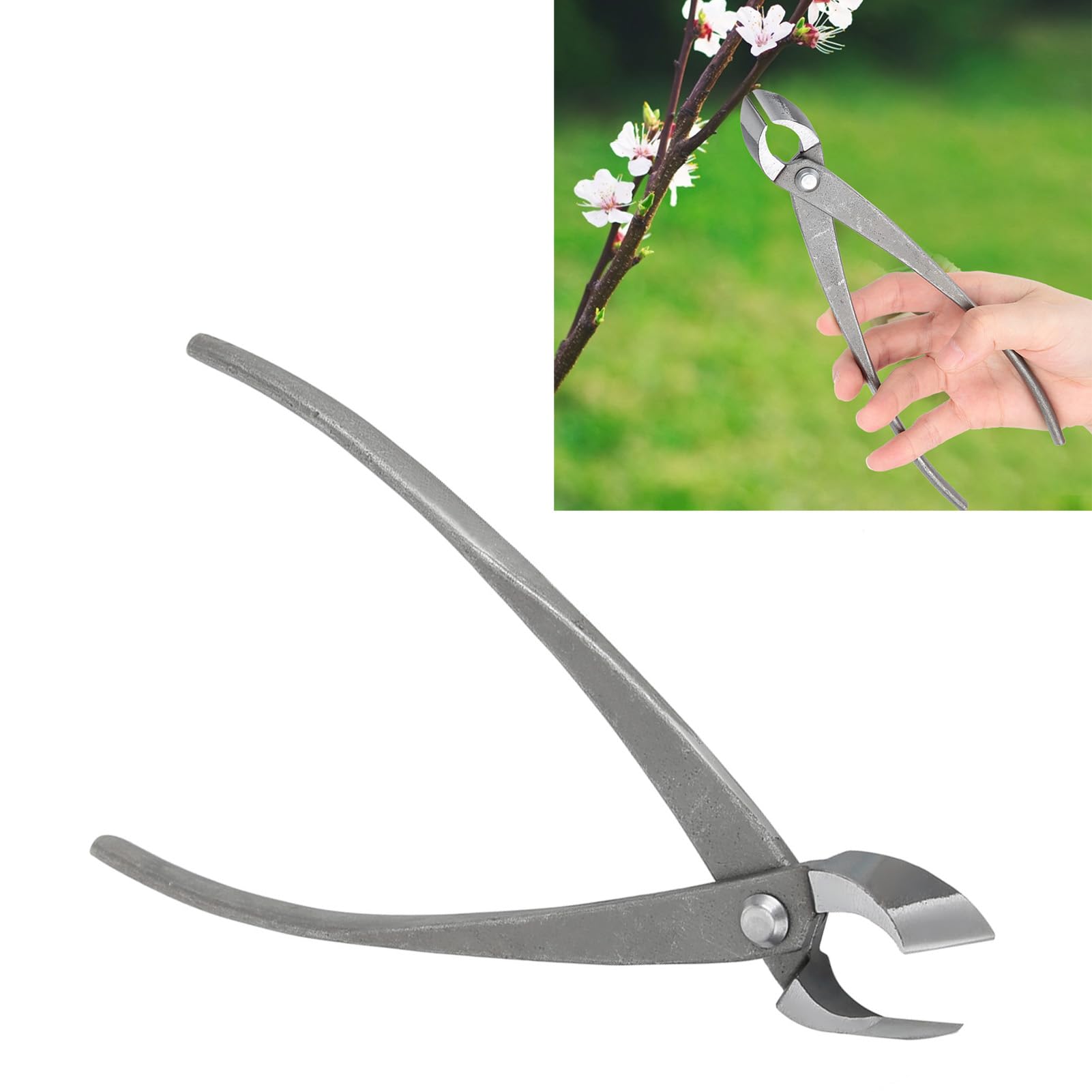 KIMISS Tijeras de Podar Multifuncionales para Bonsái de Jardín, Cortador de Ramas de Acero Al Carbono, Herramienta de Corte Cóncava, Juego de Tijeras de Jardinería, Fabricadas en
