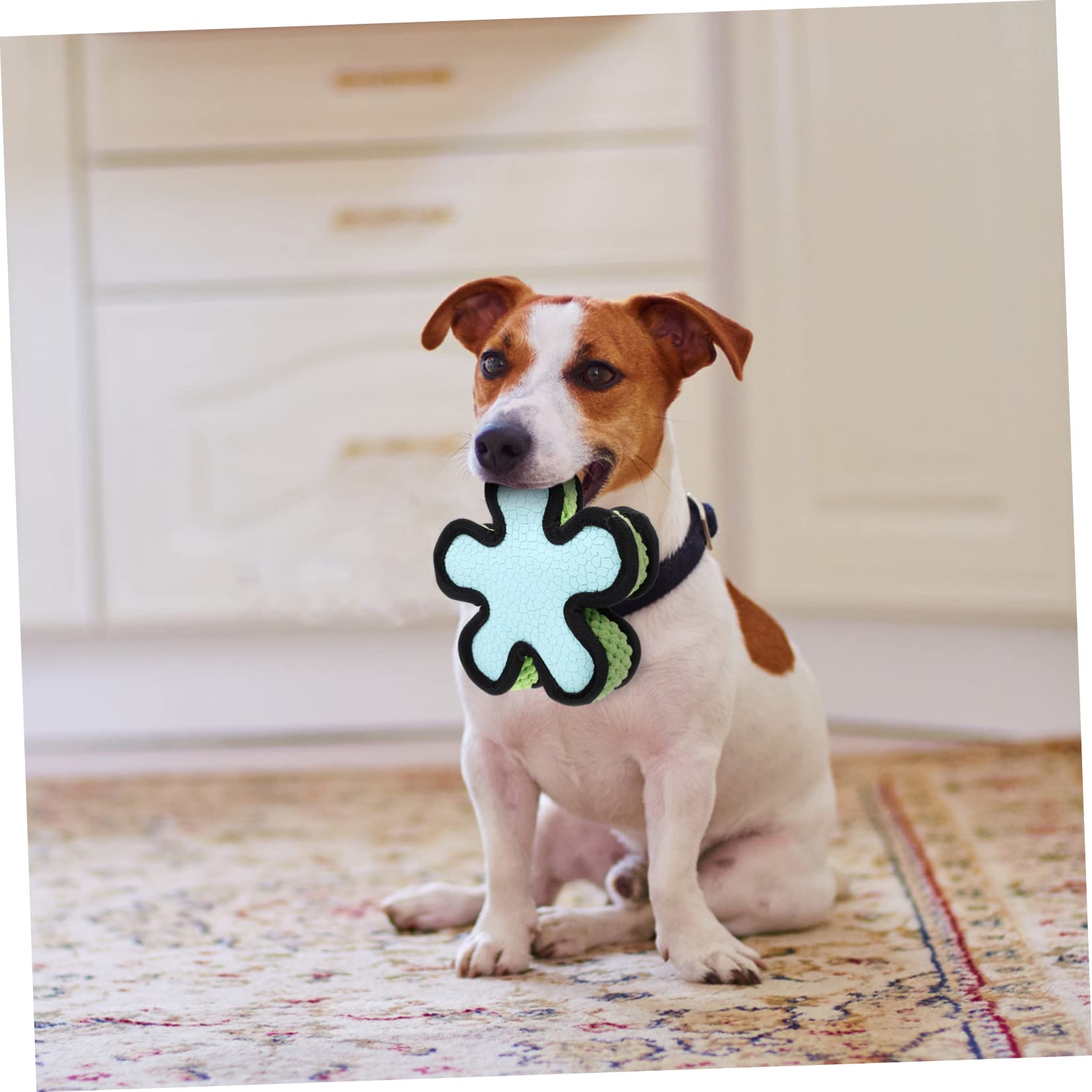 BESPORTBLE 3piezas Juguete De Molar para Perros Sonido Pelota De Flexible para Cachorros para Jugar y Masticar Aumenta La Interacción Entre Mascotas y Dueños