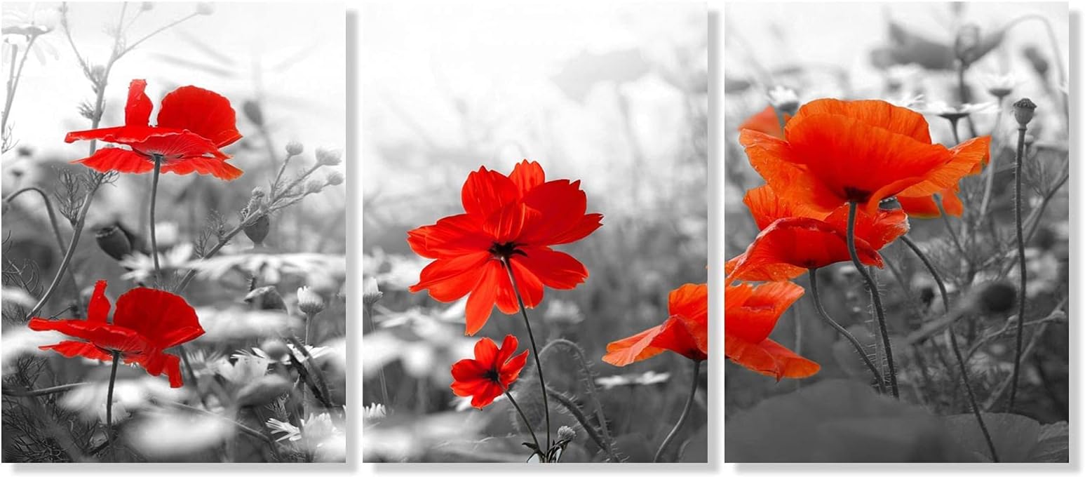Modern Red Poppy Flower Wall Art - Still Life Nature Picture Canvas Print for Home Office Living Room Bathroom Wall Decor