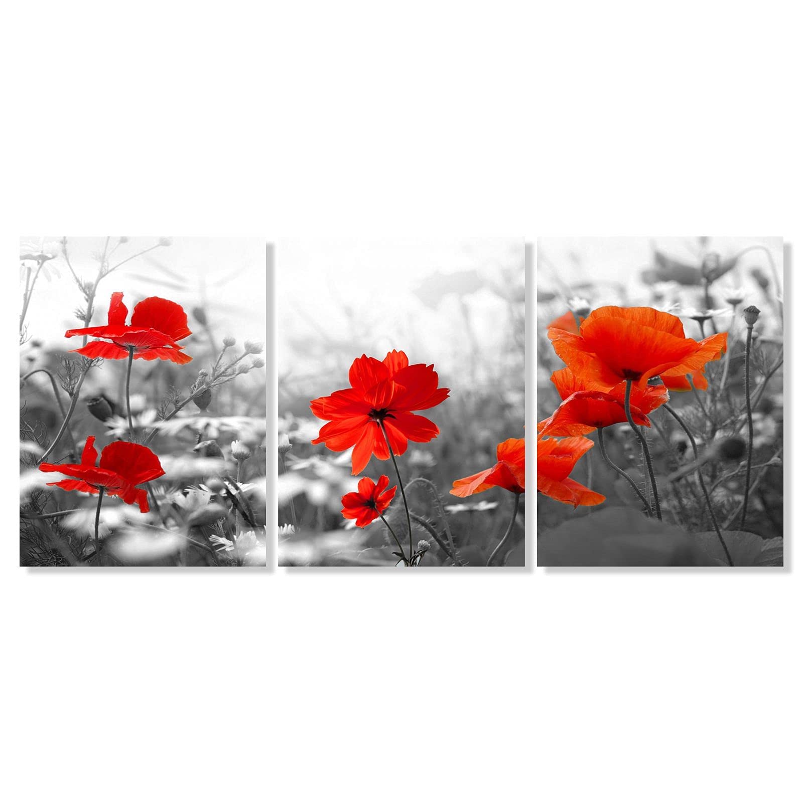 Modern Red Poppy Flower Wall Art - Still Life Nature Picture Canvas Print for Home Office Living Room Bathroom Wall Decor