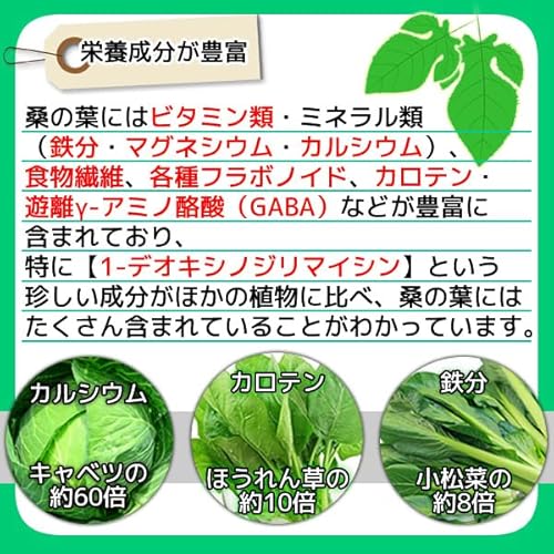 ヘルシーカンパニー 国産桑の葉パウダー100g