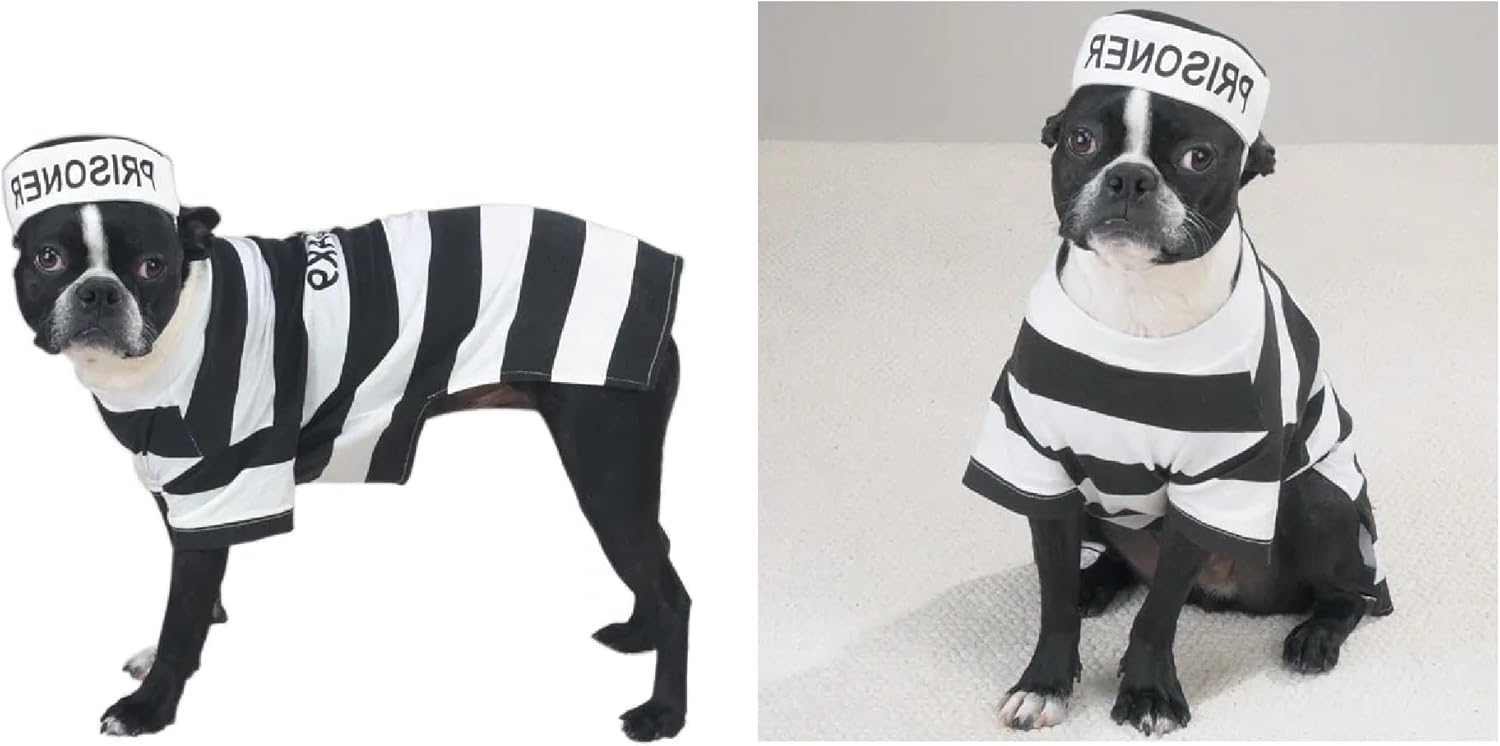Prison Costume for Dogs Dress Your Pooch as Your Favorite Prisoner Bad Dog! (Large)