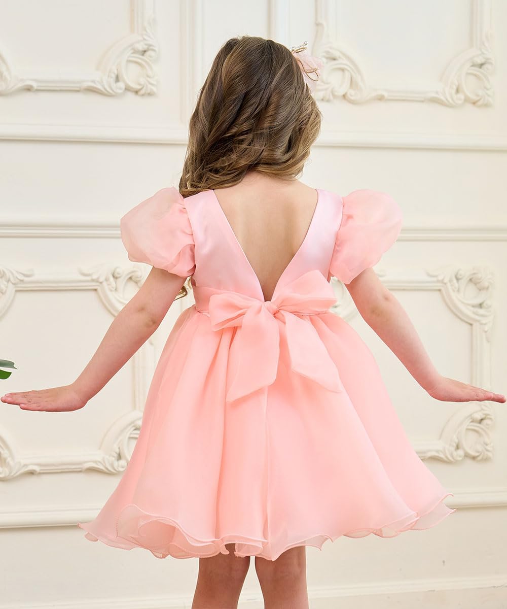 Toddler Flower Girl Dress Backless Puffy Tutu Dress for Baby Girls Puff Sleeve Pageant Dresses Birthday Party