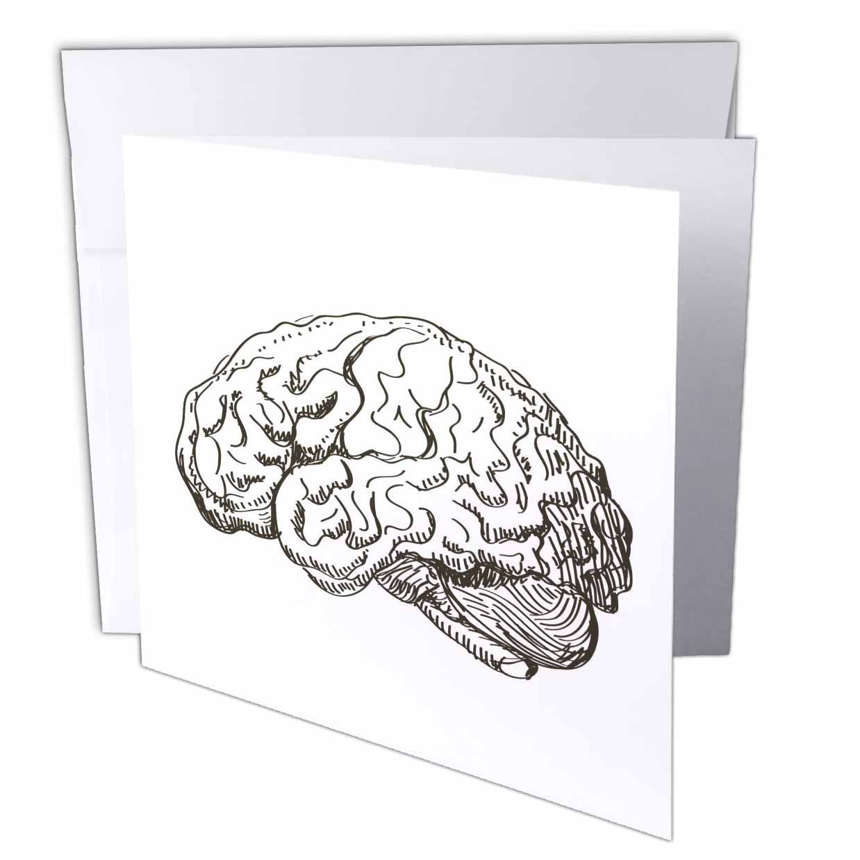 3dRose gc_38393_1 6 x 6-Inch "Brain" Greeting Card (Pack of 6)