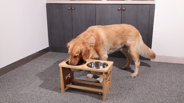 Raised Dog Bowls for Large Dogs, Elevated Dog Bowl Holder, Dog Dish Stand with 2 Stainless Steel Bowls by Nothing burger - Image 7