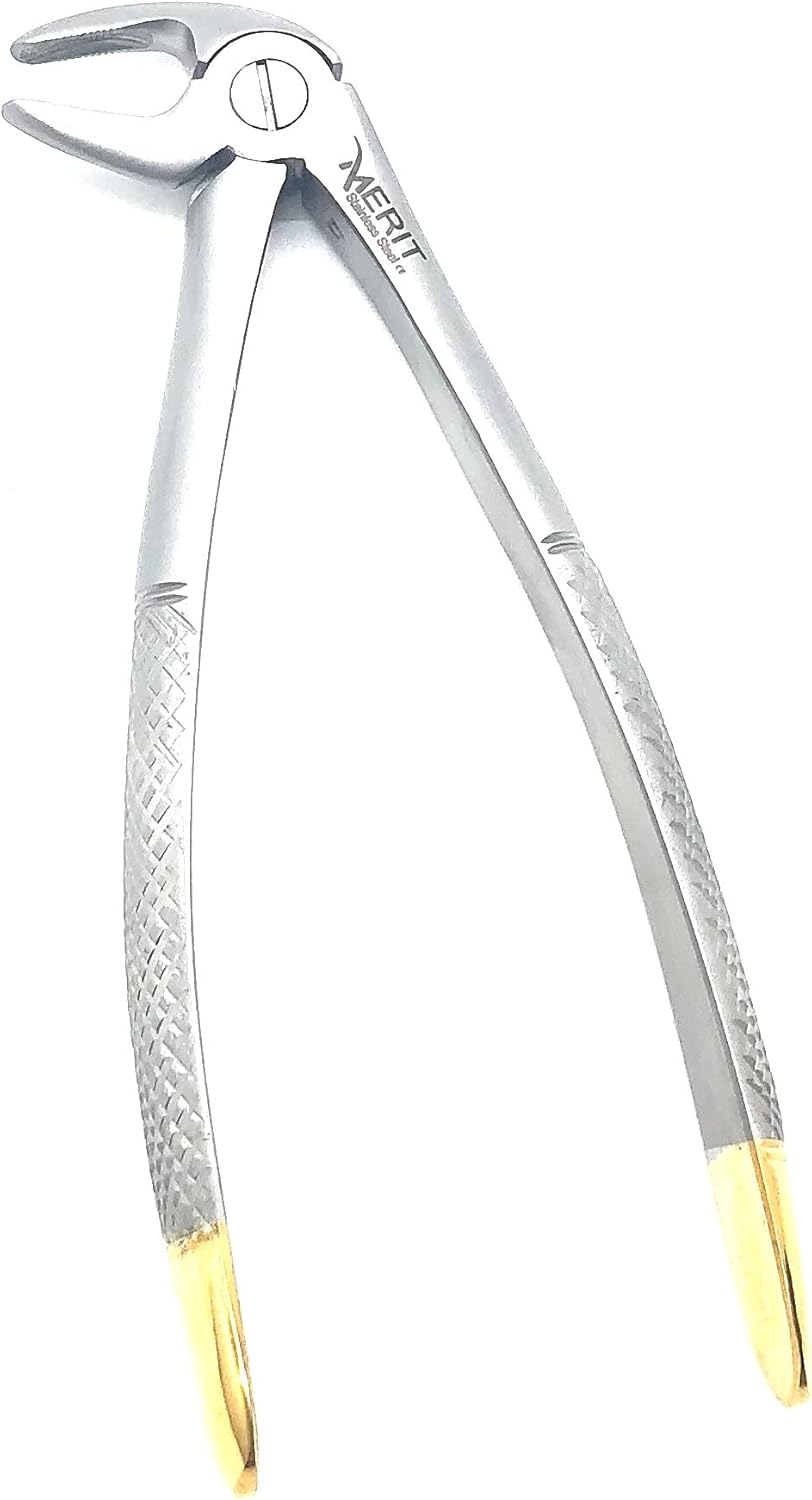 Extraction Forcep #33 English Pattern Gold