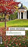 Cover zum Buch Falkensturz