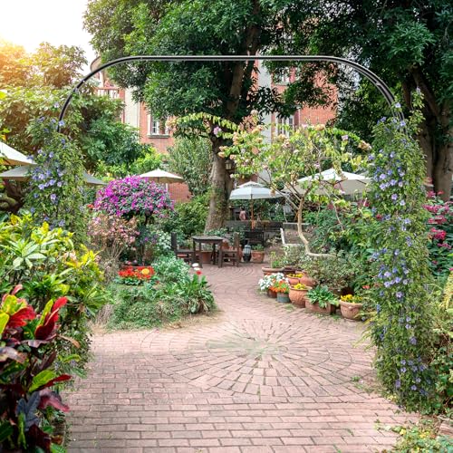 Xverycan Rosenbogen Torbogen, Gartenbogen aus Metall 240x240cm, 1,2m 1,8m 2,4m DREI Verstellbare Breiten, Rosenbögen für Rosen und Kletterpflanzen, Freistehend Rosengestell für Garten Dekoration