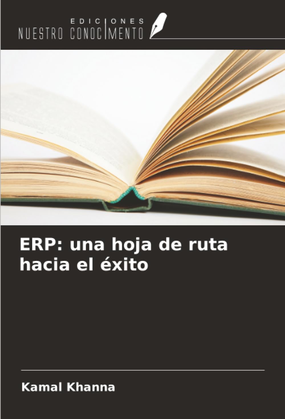 ERP: una hoja de ruta hacia el éxito