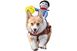 XXL Cowboy Rider Dog Costume