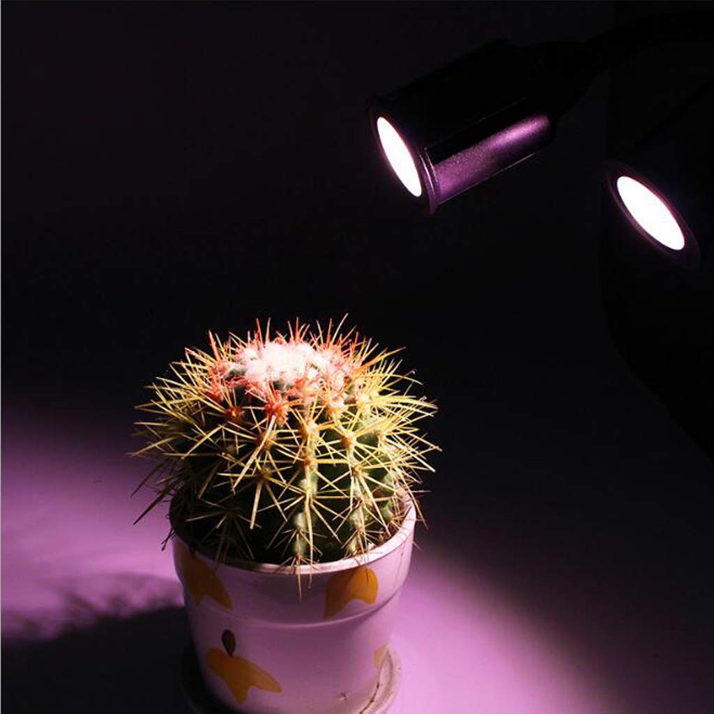 Lampe de croissance pour plantes, lumière de croissance, lampe de croissance à spectre complet de 15 W, lampe de bureau à col de cygne à double tête, lampe de croissance pour plantes d'intérieur pour