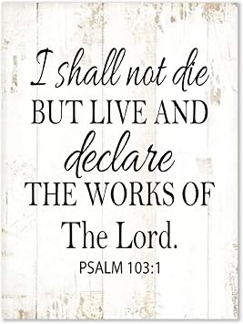 Rustic Wood Sign Modern Farmhouse Wall Hanging Bible Verse I Shall Not Die Art Plaque Use for Living Room Bedroom Office School 12x16inch