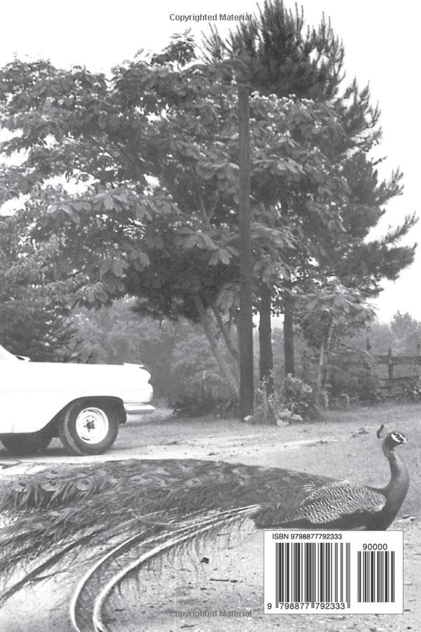 Vista 2 de English Studies