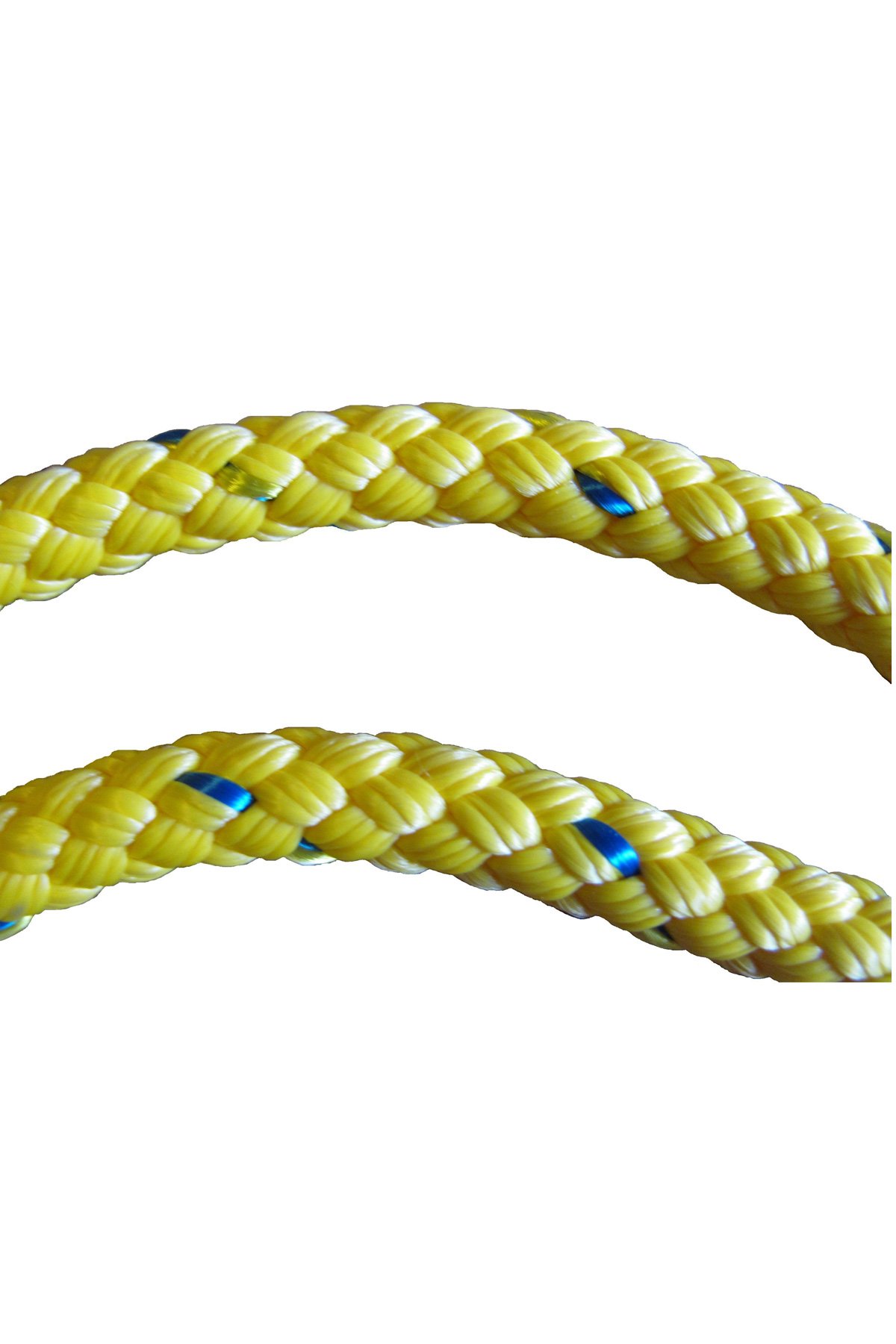 Rogue Wood Gymnastic Rings | Rogue Fitness DE