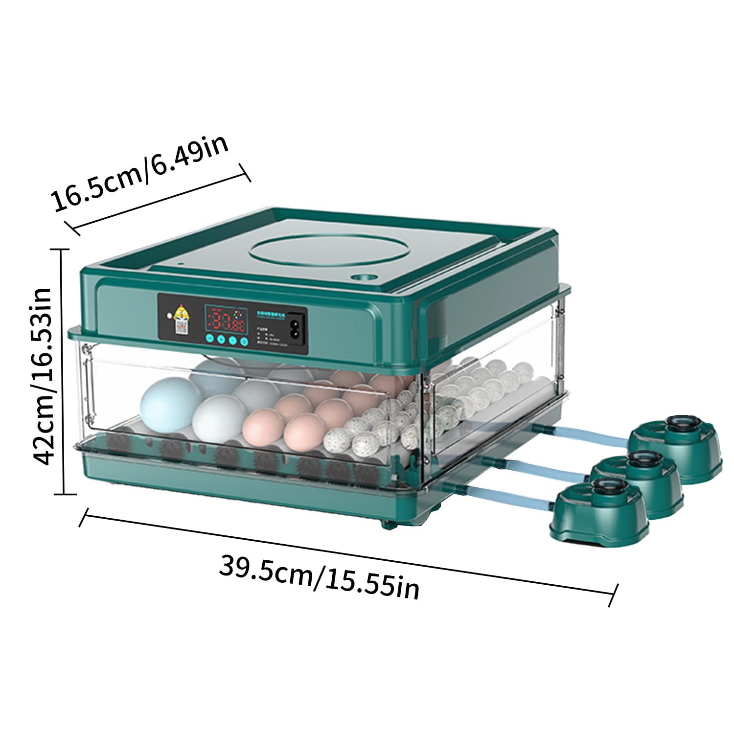 Digitaler Brutapparat für Geflügel, LED-Display, Automatische Temperaturregelung, Transparentes Gehäuse, Grün (48 Ziffern)