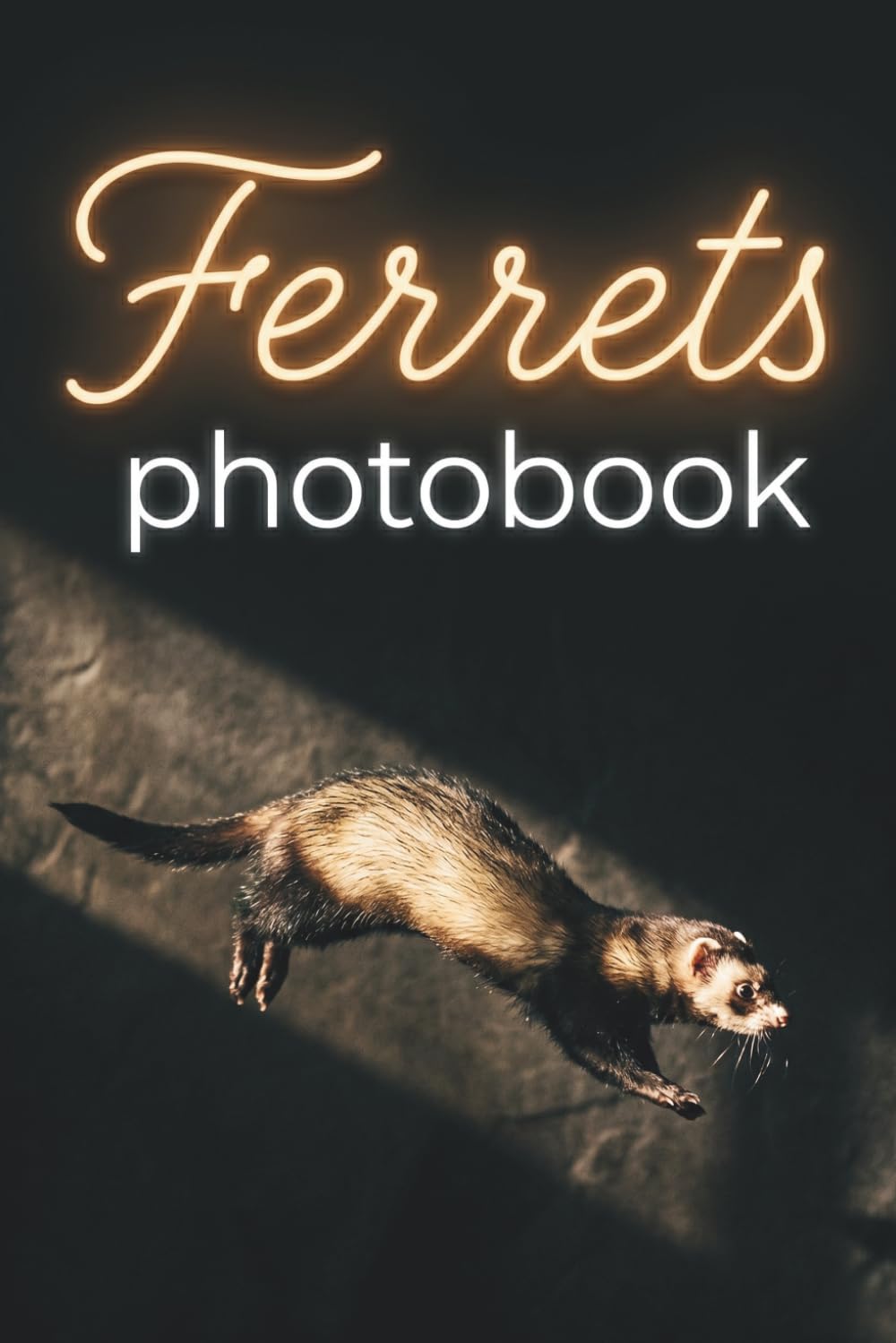 Premium Ferrets Photobook: A Breathtaking Visual Exploration of the World’s Most Playful Mustelids
