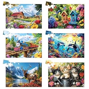 6 stuks 36 stuks grote puzzelstukjes dementie Alzheimer producten en activiteiten voor ouderen senioren cadeau eenvoudige puzzel, Alzheimer puzzels geheugen cognitieve spellen met 6 opbergzakken