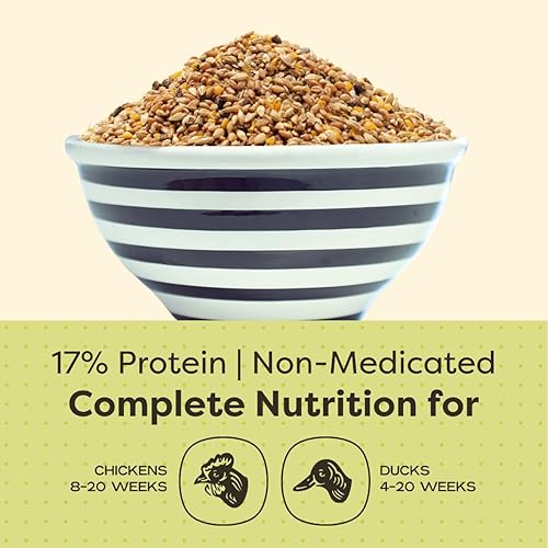 Miniatura 10 de Scratch and Peck Feeds Organic Starter Mash Chick Feed - 10 libras - 20.5% de proteína, proyecto verificado sin OMG, alimento para pollitos