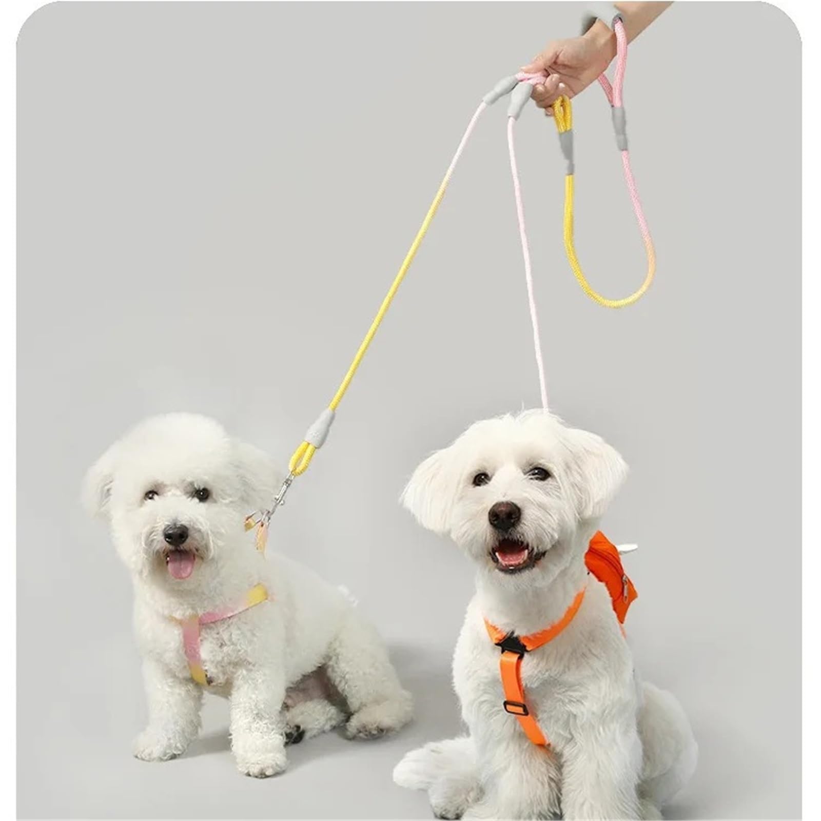Guinzaglio per cani a doppia testa anti-impigliamento con due guinzagli per animali domestici di colore sfumato (giallo, 1,2 cm, 0,8 m, 1 cm, 0,6 m)