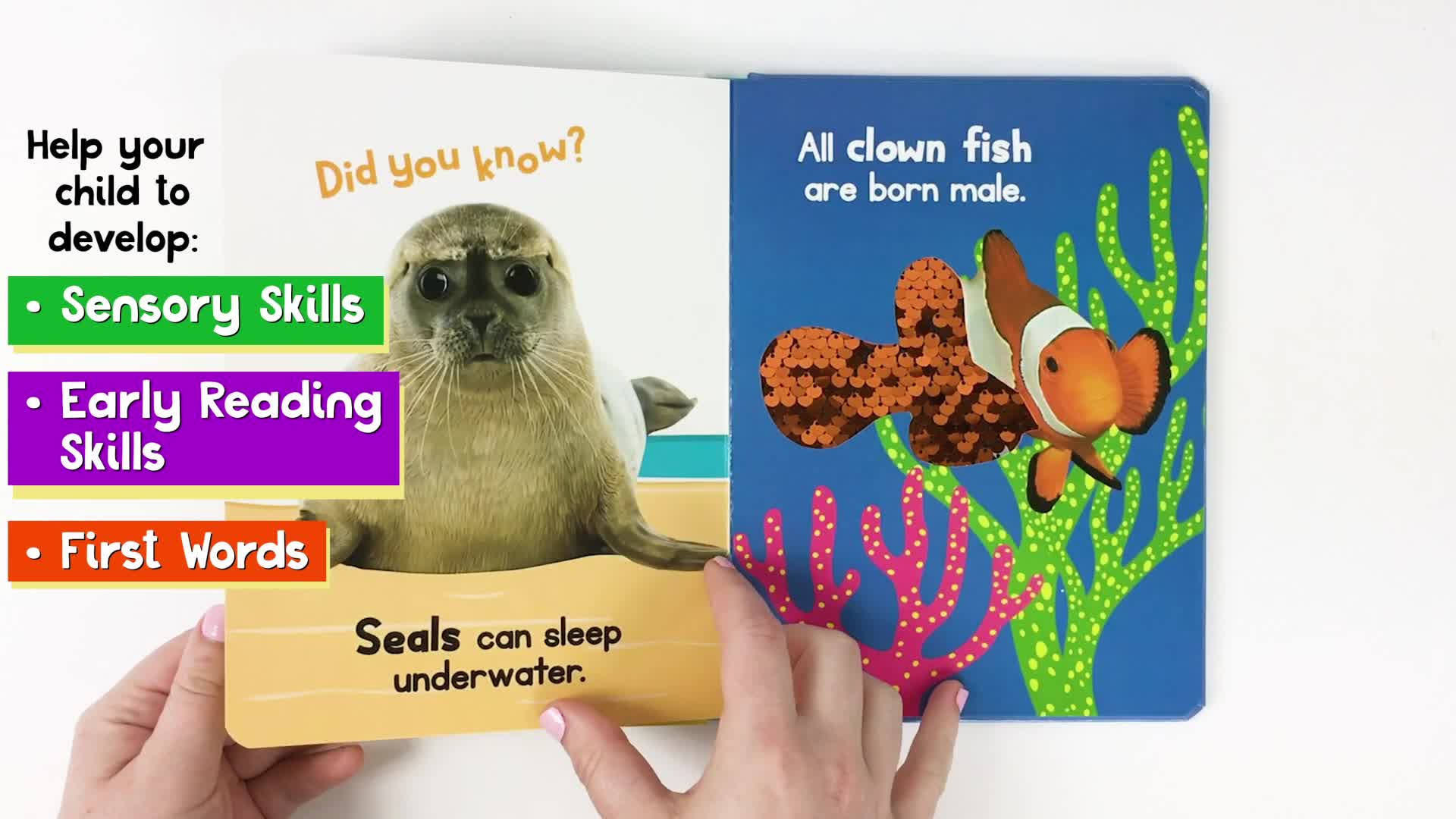 Image of Ocean Friends - Touch and Feel Board Book - Sensory Board Book