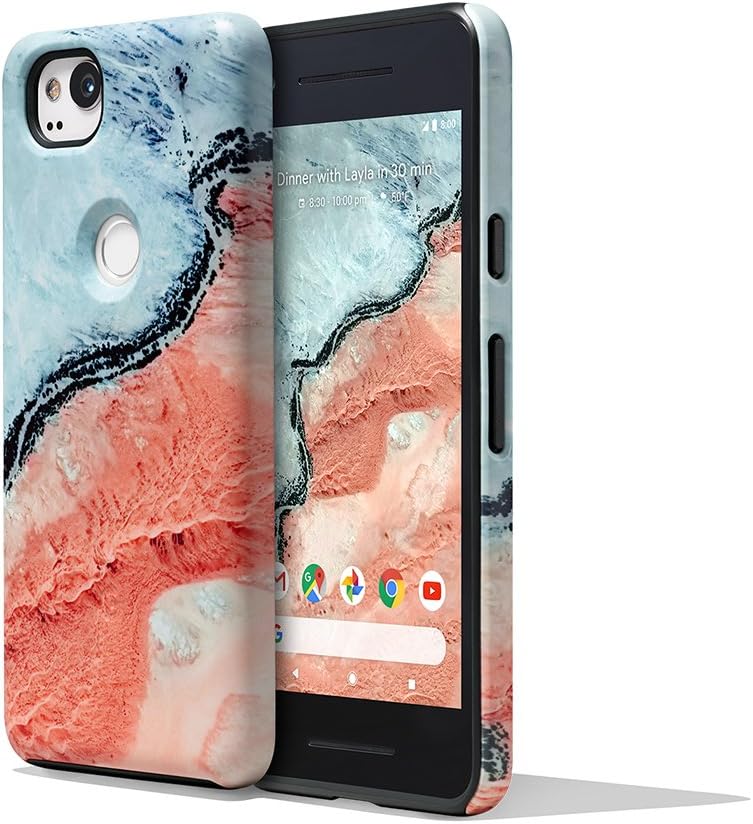 Google Earth Live Case for Pixel 2 - River