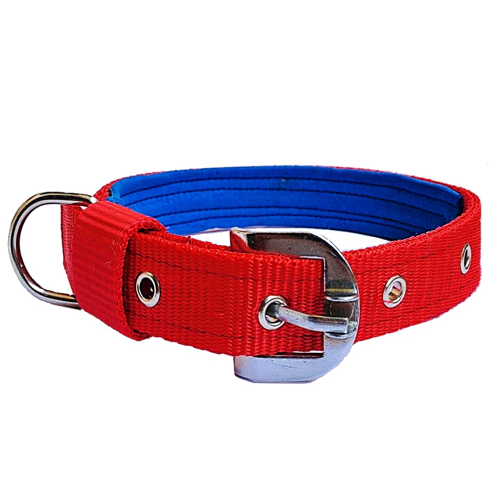 Petley Pure Nylon Pin-Buckle Dog Collar with Ultra-Soft Comfortable Padding Inside, Suitable for Large and Giant Dogs_Red (B08C7V9GHC) Amazon Price History, Amazon Price Tracker