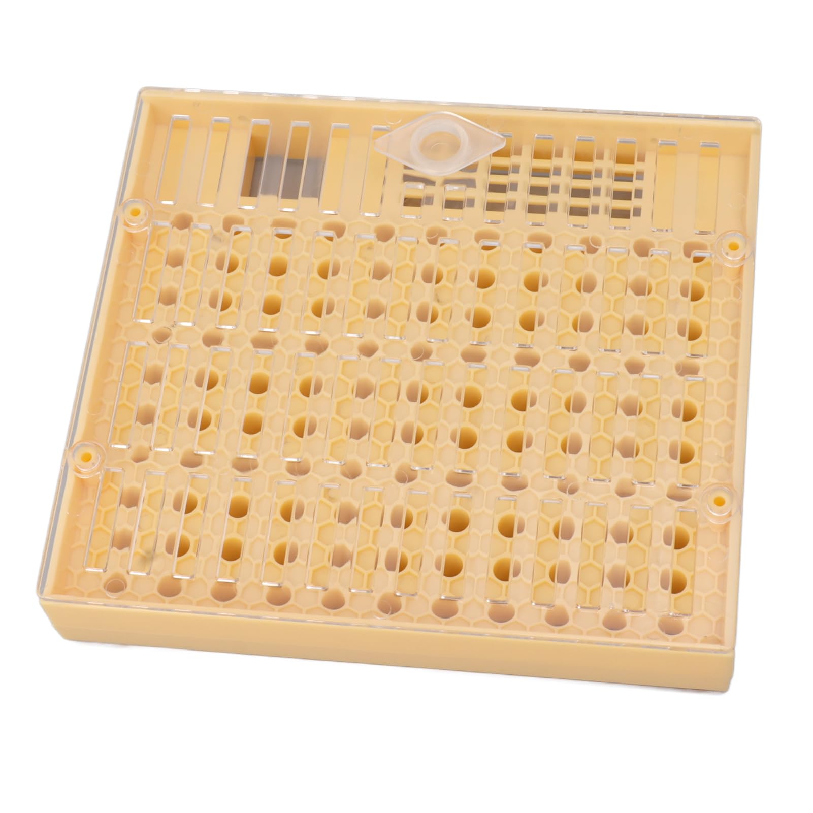 Syst¨¨me D'¨¦Leva de Reine en Plastique, Kit D'apiculture, Fournitures de Greffa de Reine pour Apiculteurs