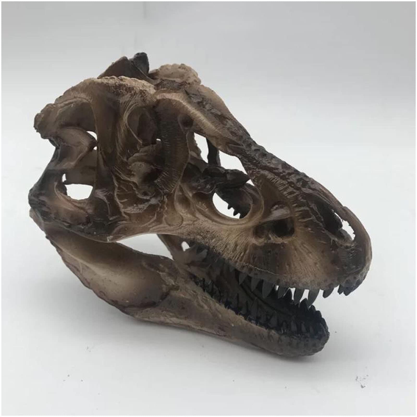恐竜の頭部模型 Amazon.co.jp: 樹脂製動物恐竜の頭蓋骨の頭の模型 - T-Rex恐竜の