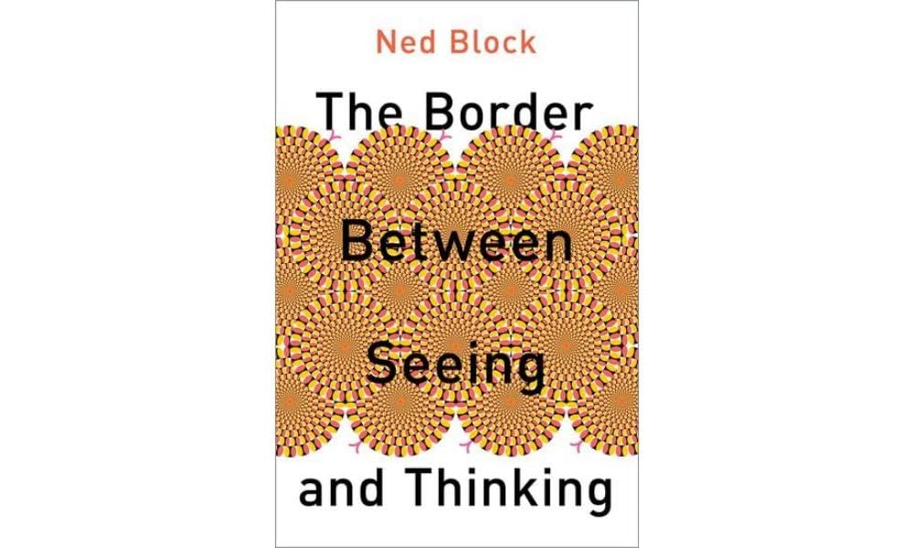 The Border Between Seeing and Thinking (PHILOSOPHY OF MIND SERIES)