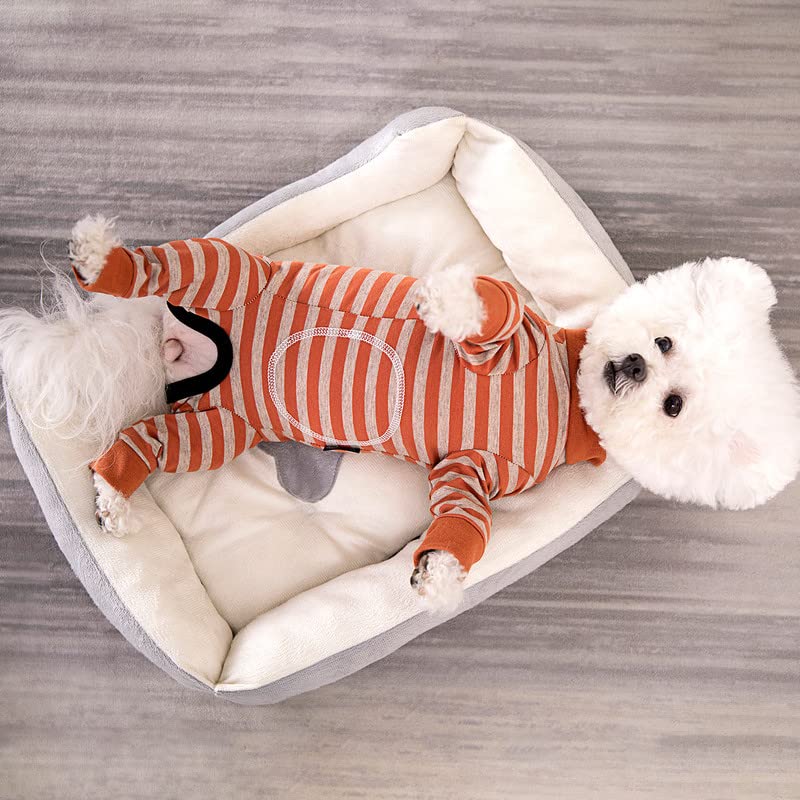 Image of Dog Surgery Recovery Suit for Small Dogs, 4-Legged Dog Onesie After Surgery with Back Snaps, Breathable Cotton Spay and Neuter Bodysuit for Female and Male Dogs