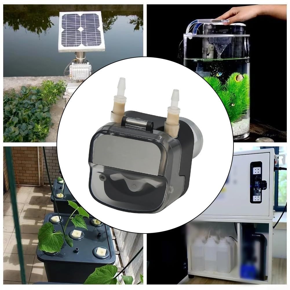 Pompe péristaltique à haut débit 24 V CC 360 ml min pour aquarium Smart Home transfert avec faible pulsation et remplacement facile du tuyau