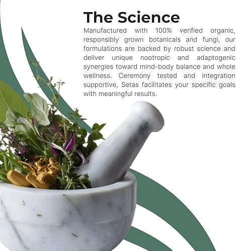 Miniatura 6 de INTENTION Suplemento botánico y de hongos de Setas  Chaga y Cordyceps orgánicos, rodiola y jengibre para apoyar la función cognitiva, el enfoque