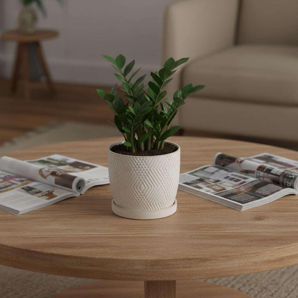 Nihow Ceramic Plant Pots - 4.75 Inch Planters for Indoor Plants,Embossed Flower Pots with Drainage Hole & Saucer,Small Pots for Succulent,Cactus,Little Snake,Set of 2,White -3