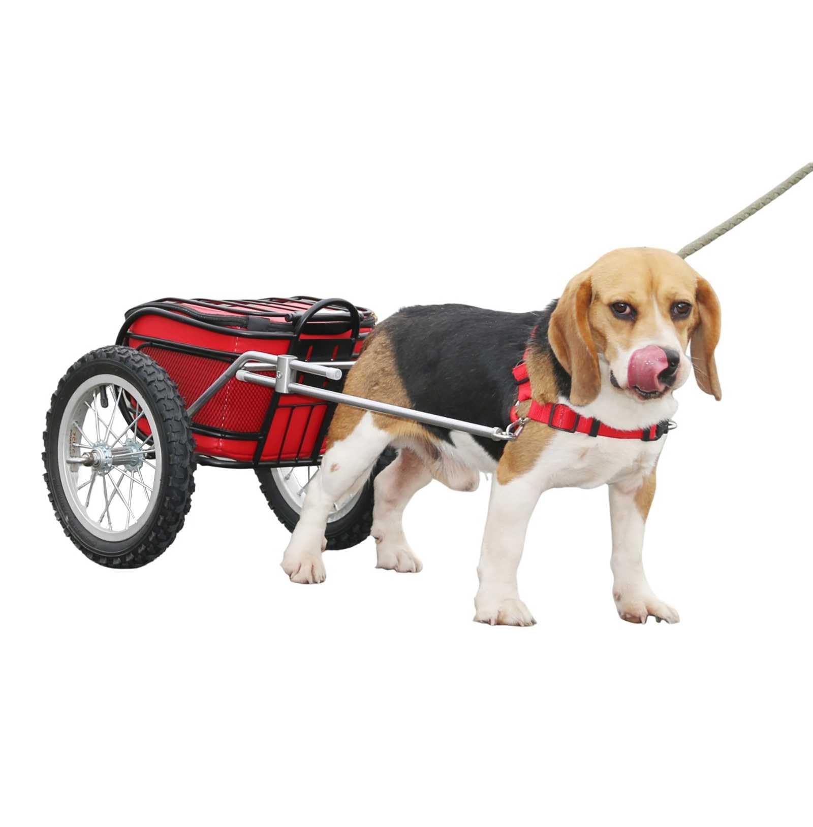Hunde-Ziehwagen,Hunde-Rollwagen FüR 10-30kg Haustier HundeanhäNger Brustgurt Verstellbar Leicht Zu Tragen Haustier-Pull-Wagen,FüR MittelgroßE Hunde