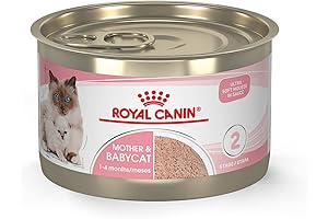 Royal Canin Kitten Food Ultra Soft Mousse in Sauce Canned Cat Food