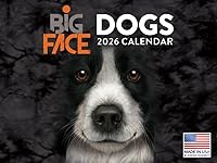 Vista 14 de Calendario de cachorro Golden Retriever 2027 mensual de pared de 12 meses