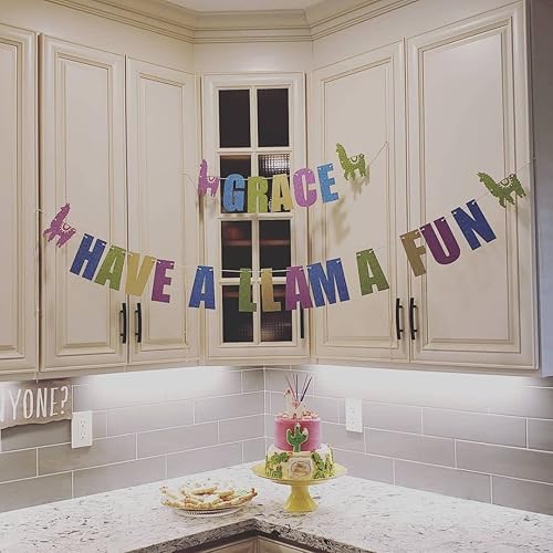 Miniatura 9 de Letrero con texto personalizado, gracioso o grosero Letreros para personalizar fiestas Texto PersonalizadoFrase Haga su propio cartel de bandera