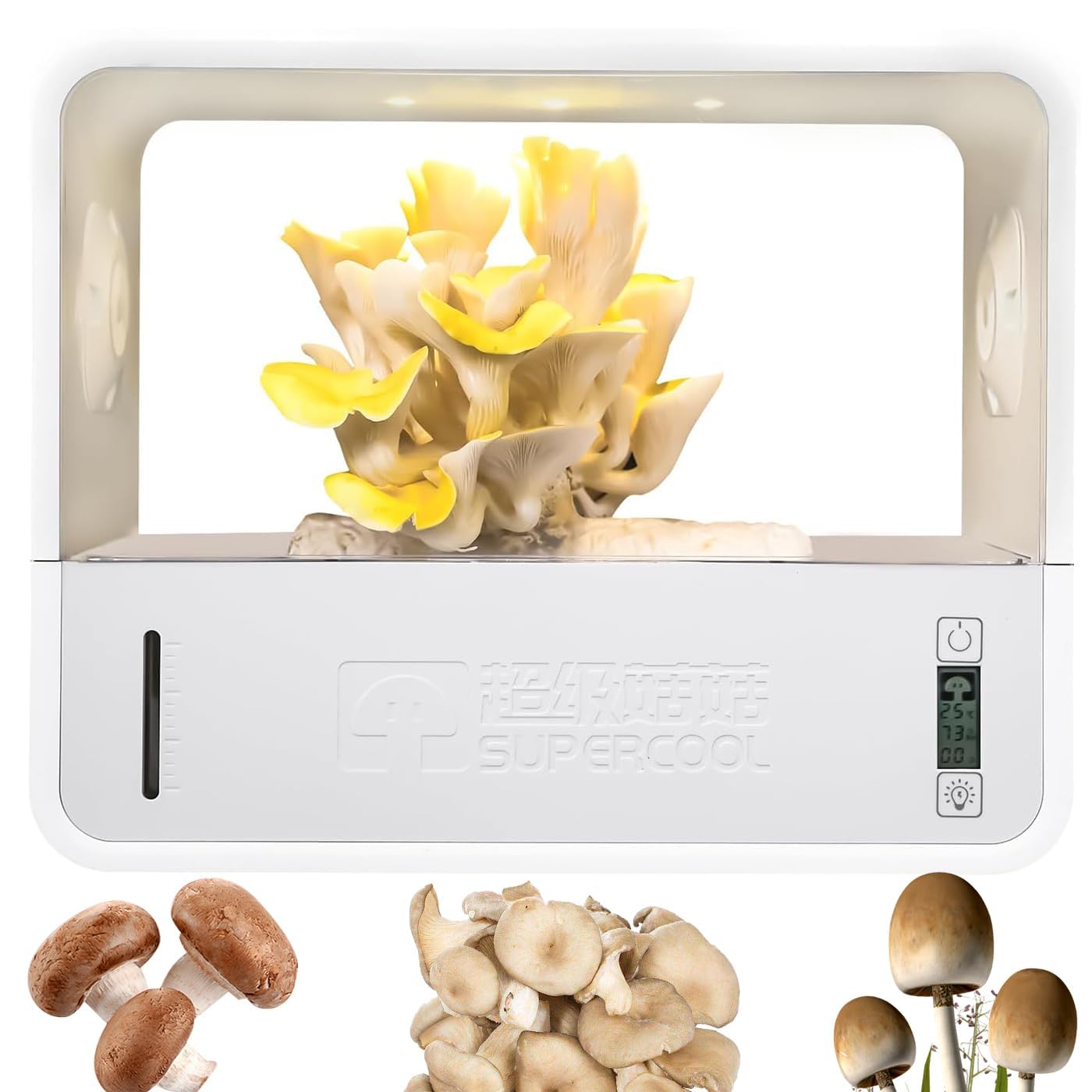 Kit de culture de champignons d'intérieur avec contrôle automatique de la température et système d'éclairage réglable