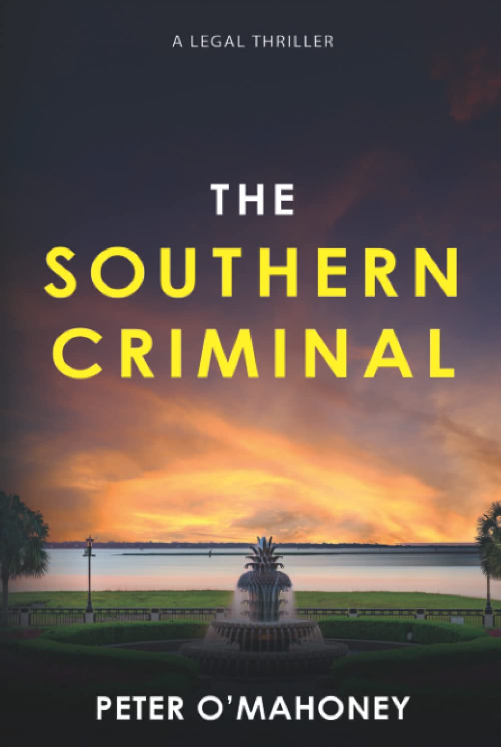 The Southern Criminal: An Epic Legal Thriller (The Southern Lawyer Series)