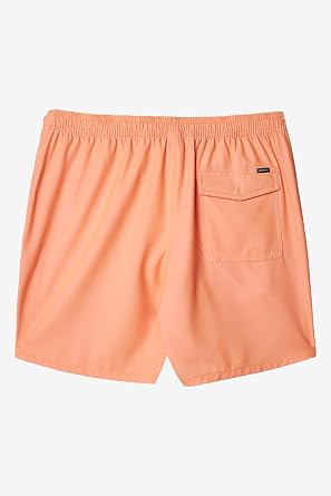 O'NEILL Mens Solid Volley Swim