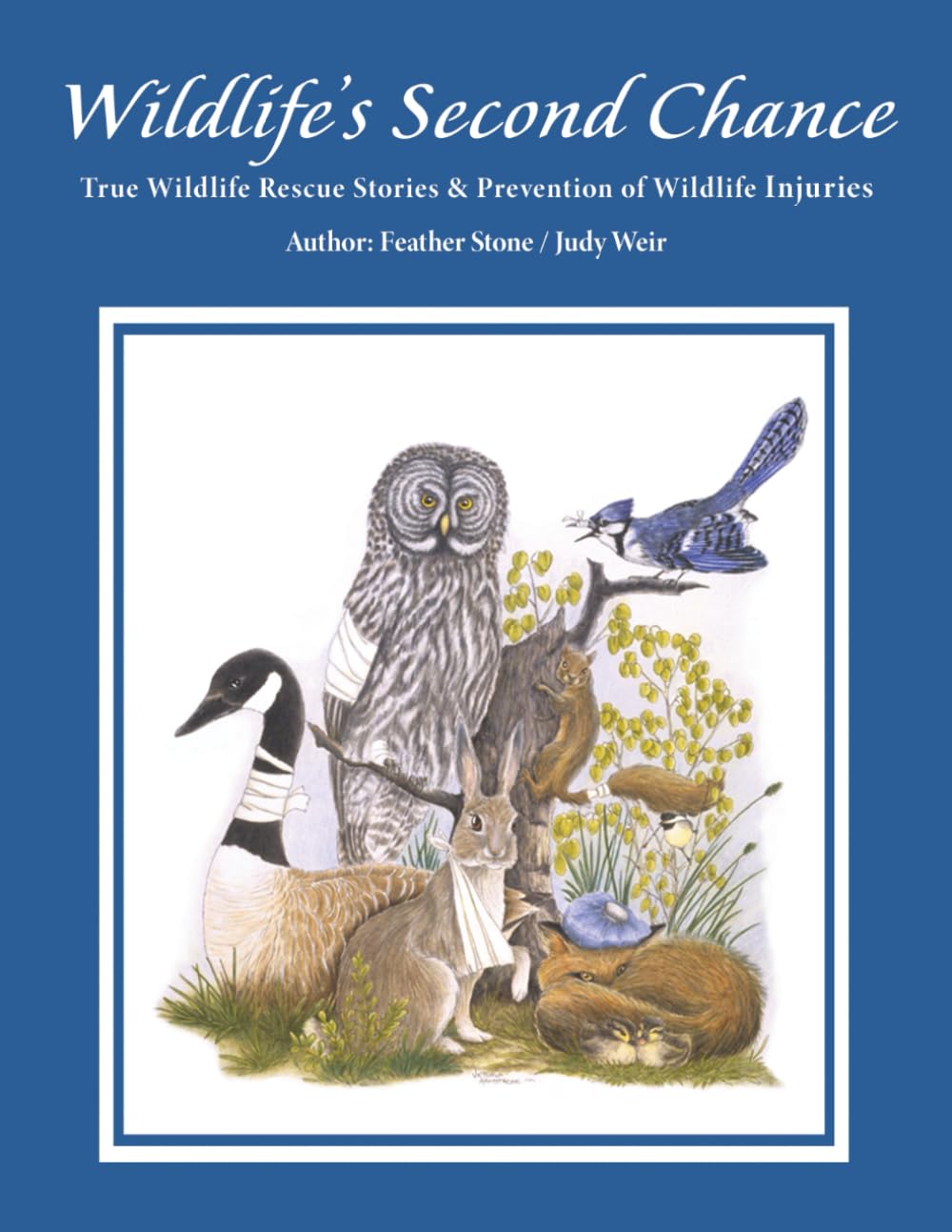 Wildlife's Second Chance: True Wildlife Rescue Stories & Prevention of Wildlife Injuries