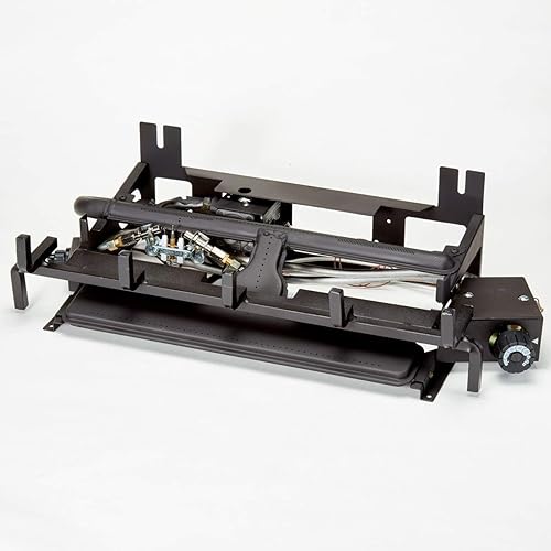 Vista 30 de Duluth Forge DLS-30R-1 Juego de troncos de chimenea sin ventilación de combustible dual con control remoto, uso con gas natural o propano líquido