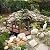 S AFSTAR Wooden Garden Bridge, 5FT Stain Finished Arch Footbridge with Safety Rails for Garden Patio Yard, Outdoor Pond Bridge & Wishing Well Planter Set