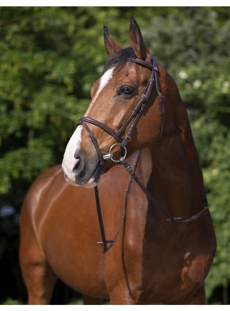 RIDING WORLD Bridon Combinée - Couleurs - Havane, Taille Equipement Cheval - COB
